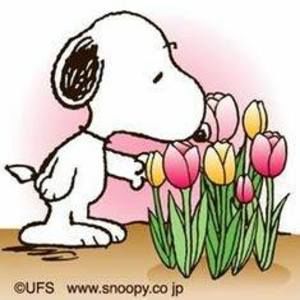 Meet your Posher, Dana